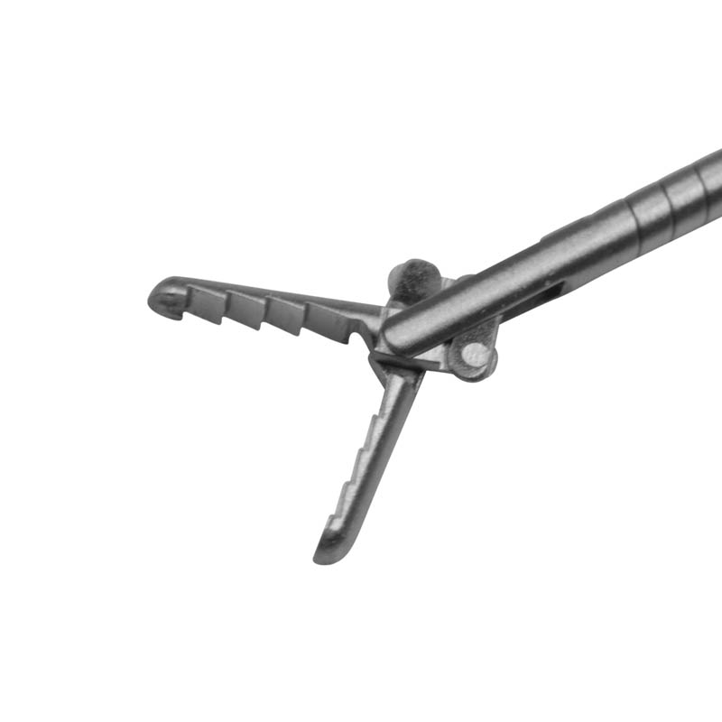 Fremmedlegemetang med alligatorkæber, 25 cm, nærbillede 1